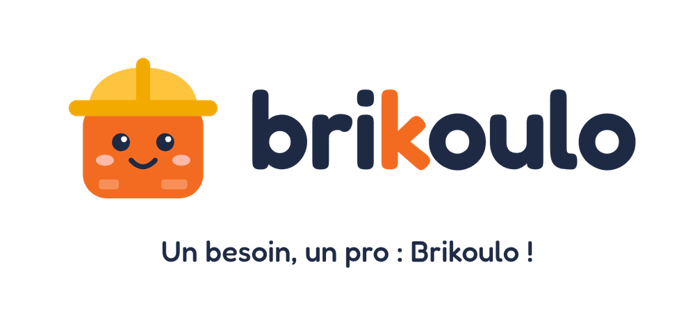 Brikoulo — Un besoin, un pro : Brikoulo !